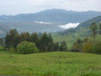 El Hogar De La Castanera Daire Colombres Dış mekan fotoğraf